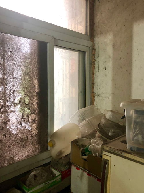 柏林愛樂周女士的新居70㎡裝修工地圖 現(xiàn)場(chǎng)施工圖文直播 土巴兔裝修網(wǎng)